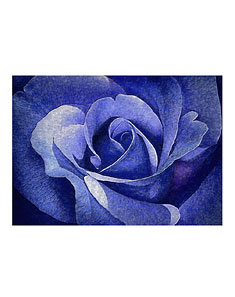 墙贴装饰画蓝色妖姬45*60cm