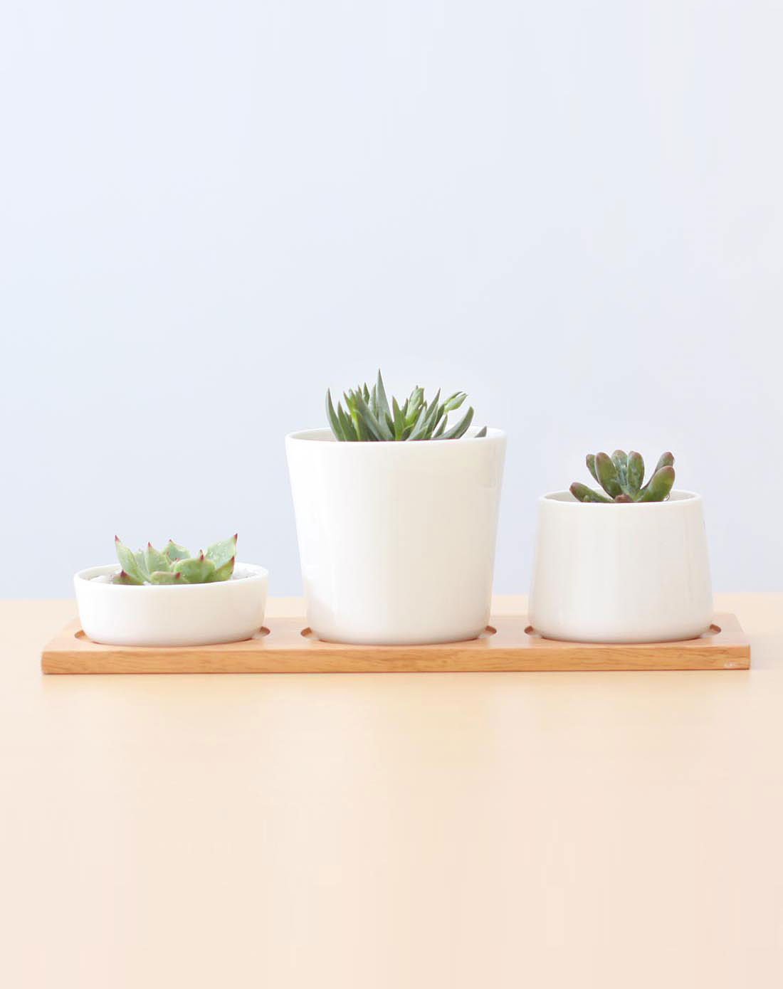 [ 最生活 ] 白色圆形陶瓷花盆套装