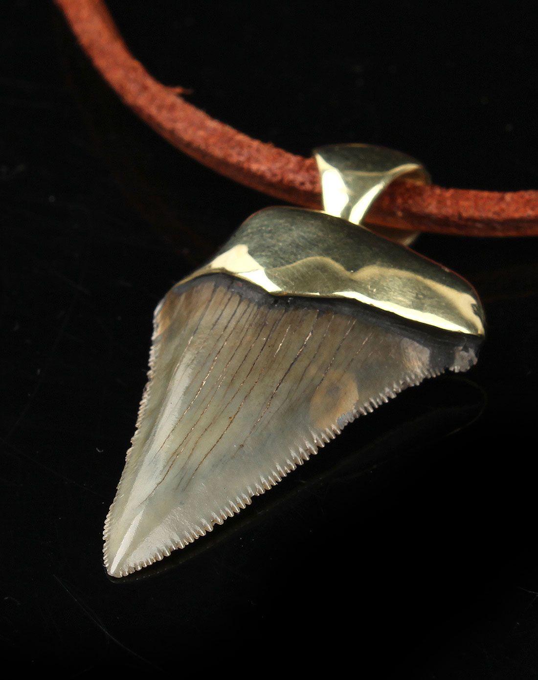 瀚碧堂贵重饰品专场天然鲨鱼牙化石吊坠